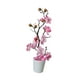 thumbnail image 2 of Jarrón flores artificiales en maceta, moderno, con púas, flores artificiales en maceta, bonsái secas para el hogar, oficina y el escritorio. Rosa, 2 of 8