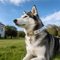 thumbnail image 7 of AuroraX Soft Nylon Dog Collar with Bow Comfortable Puppy Collar Safety Buckle Adjustable Lightweight Durable Easy-Care Fashion Pet Accessories for Dogs, 7 of 7