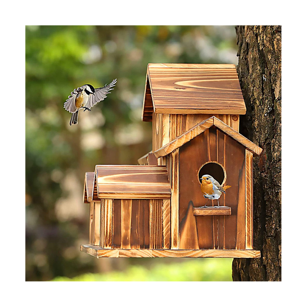Nichoir à Oiseaux Suspendu Transparent Avec Crochet - Abri Jardin Extérieur Intérieur 10x21.5cm