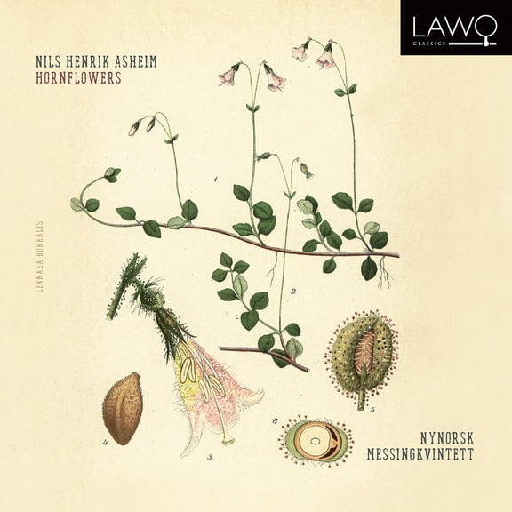 Nynorsk Messingkvintett - Hornflowers - Music & Performance - CD