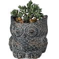 thumbnail image 2 of Primitives by Kathy Large Owl 5.50 Inches x 5 Inches x 5.50 Inches Cement Standing Planter, 2 of 3