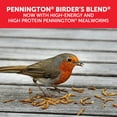 thumbnail image 5 of Pennington Recipe Selects Birder's Mealworm Blend, Dry Wild Bird Seed and Feed, 40 lb. Bag, 1 Pack, 5 of 9