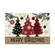 thumbnail image 2 of Manteles individuales navideños de invierno con copos de nieve de 30 x 45 cm | Manteles de poliéster para mesas festivas | Decoración duradera y resistente a las arrugas para el comedor | Ideal para, 2 of 6