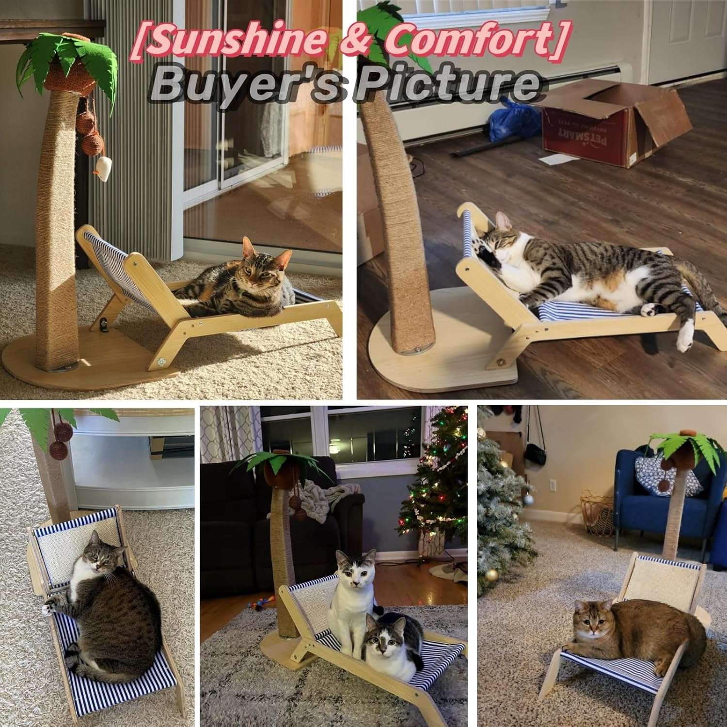 best storage bins for cat litter box PetFusion BetterBin Portable Litter Storage Container main image 0