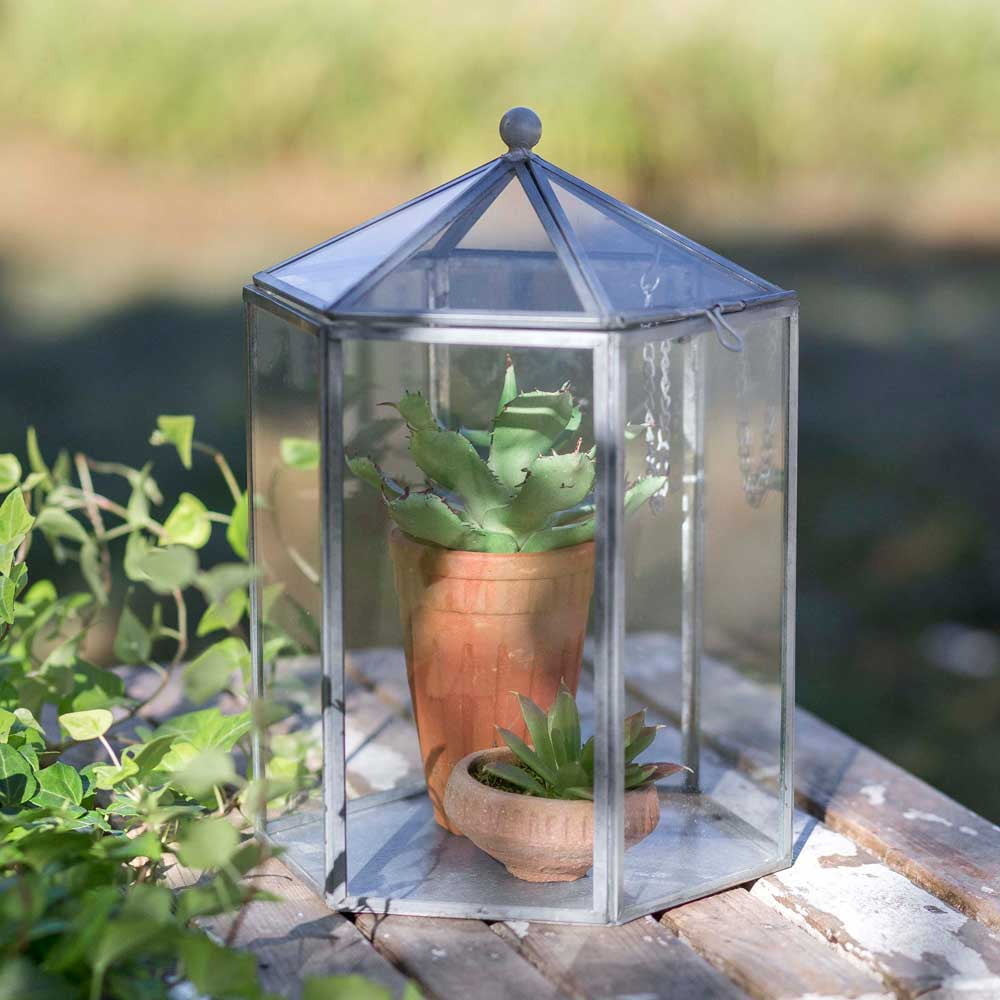 Hexagon Terrarium