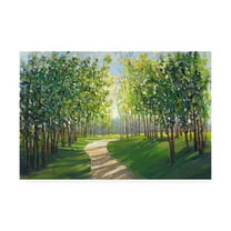 Trademark Fine Art 'Walking Trail I' Canvas Art by Tim OToole