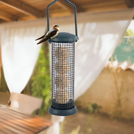 ACDANC Steel Sunflower Seed and Peanut Feeder, 9.5" Tall, Wild Bird Feeder for Woodpeckers, Titmice, Nuthatches, Chickadees, Jays and More