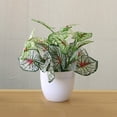 thumbnail image 1 of Artificial Potted Plant Leaf Simulation Leaves Home Office Desktop Greenery Decoration, 1 of 3