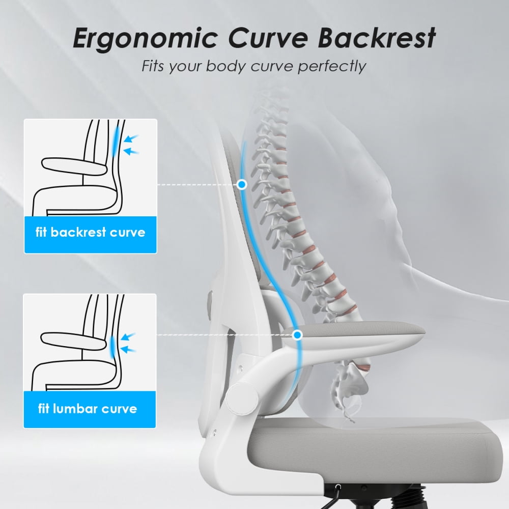 Pawverly Ergonomic Mesh Office Chair with Adjustable Lumbar Support, Flip-up Arms, Swivel Task Computer Desk Chair with Wheels, Comfy Home Office Chair, Black+White
