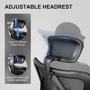 SIHOO M18 Upgraded Wheels Office Chair Ergonomic Desk Chair, Breathable Mesh Design High Back Computer Chair, Adjustable Headrest and Lumbar Support (Light Black)