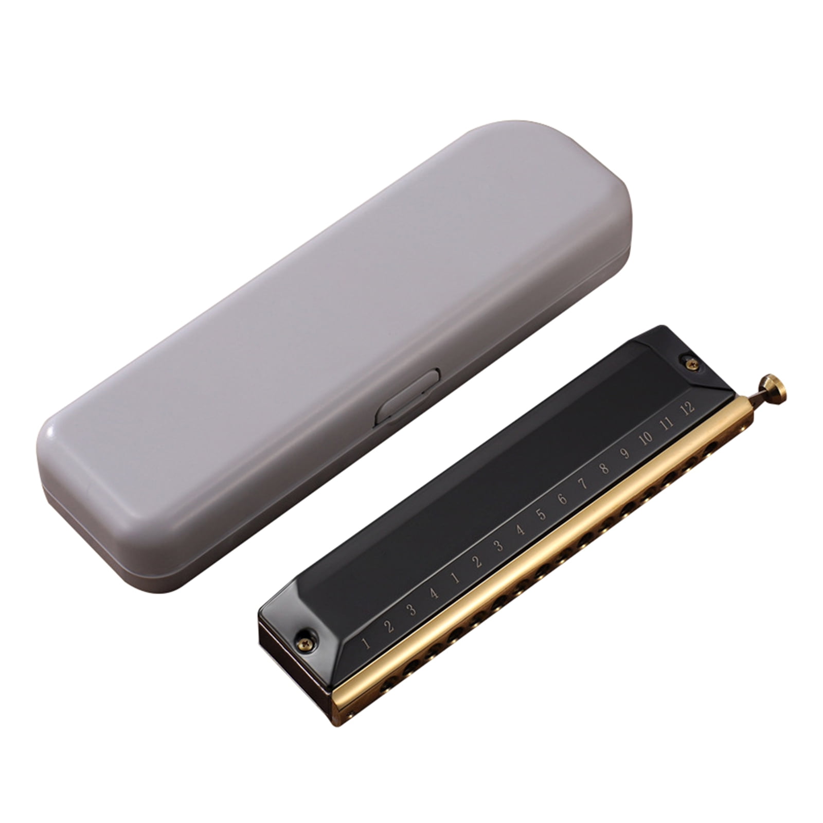 Blues Harmonica in C, 16 Holes Blues Harp Diatonic Harmonica C, Mouth Organ harmonica in C For Adults, Beginners