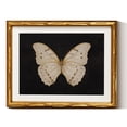 thumbnail image 1 of Decoración mural en Simsea, diseño retro con forma de mariposa blanca, 28 x 36 cm, marco, 1 of 8