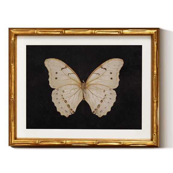Decoración mural en Simsea, diseño retro con forma de mariposa blanca, 28 x 36 cm, marco