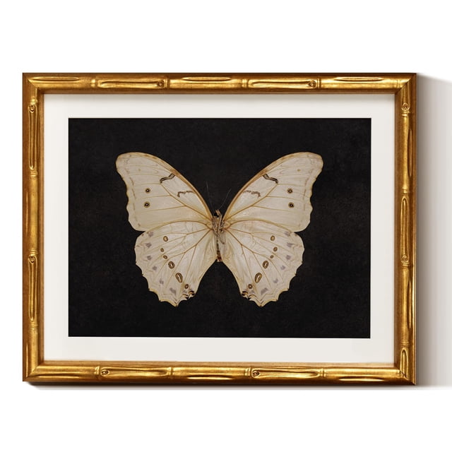 Decoración mural en Simsea, diseño retro con forma de mariposa blanca, 28 x 36 cm, marco