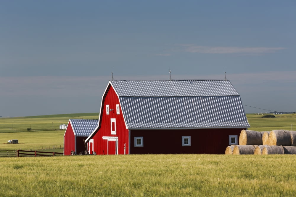Bright Red Barn Wit
