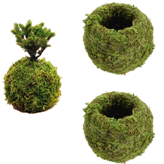 2 Pcs Natural Moss Weave Planter,Bexikou 3.5inch Natural Bonsai Plant Holder Indoor Table Decor Pot,Flowerpot Home Garden Decor