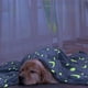 thumbnail image 5 of Manta de forro polar de doble cara con estampado de estrellas y lunas que brilla en la oscuridad, suave y cálida para todas las estaciones, ropa de cama luminosa para el hogar, camping, viajes y rega, 5 of 6