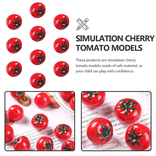 Comment réussir un semis de tomates cerises ? - Main Verte Marion Comment réussir un semis de tomates cerises ? - Main Verte Marion