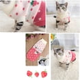 thumbnail image 4 of GASTROPOD 2026 New Pet Clothes,Cat Sweater Winter Warm Puppy Clothes Strawberry Knitwear Turtleneck Dog Sweaters for Cats Puppy Dog Sweaters for Small Dogs, 4 of 7