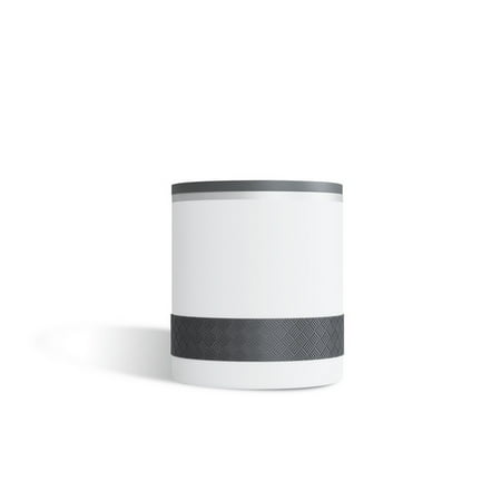 

10oz RECESS ROCKS TUMBLER White