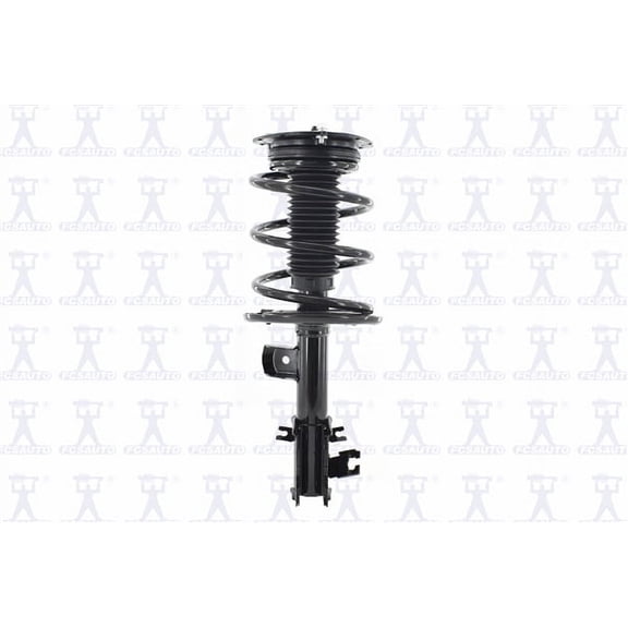 Suspension Strut and Coil Spring Assembly