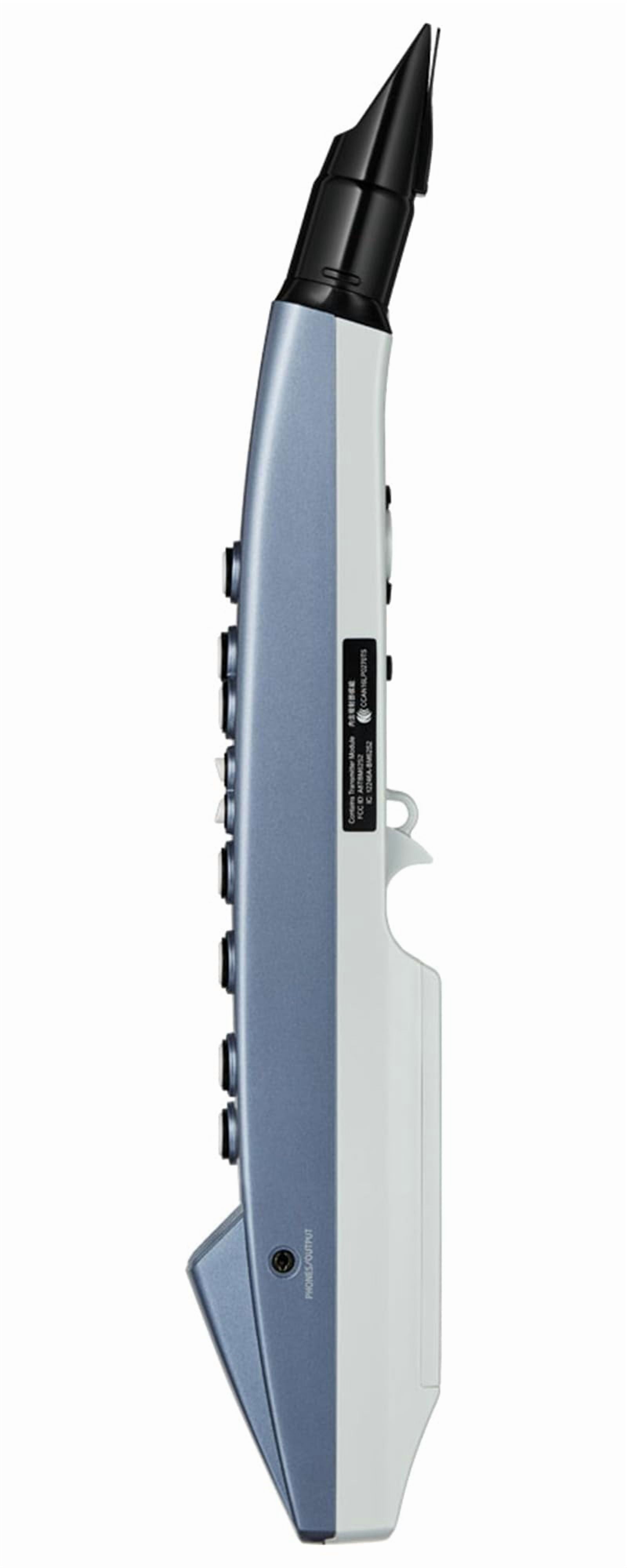 Roland AE-01 Aerophone Mini Digital Saxophone Bundle with Headphones and Austin Bazaar Polishing Cloth