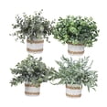 thumbnail image 4 of 4 piezas de plantas artificiales BLESIY adornos de mesa miniplantas decorativas, 4 of 8