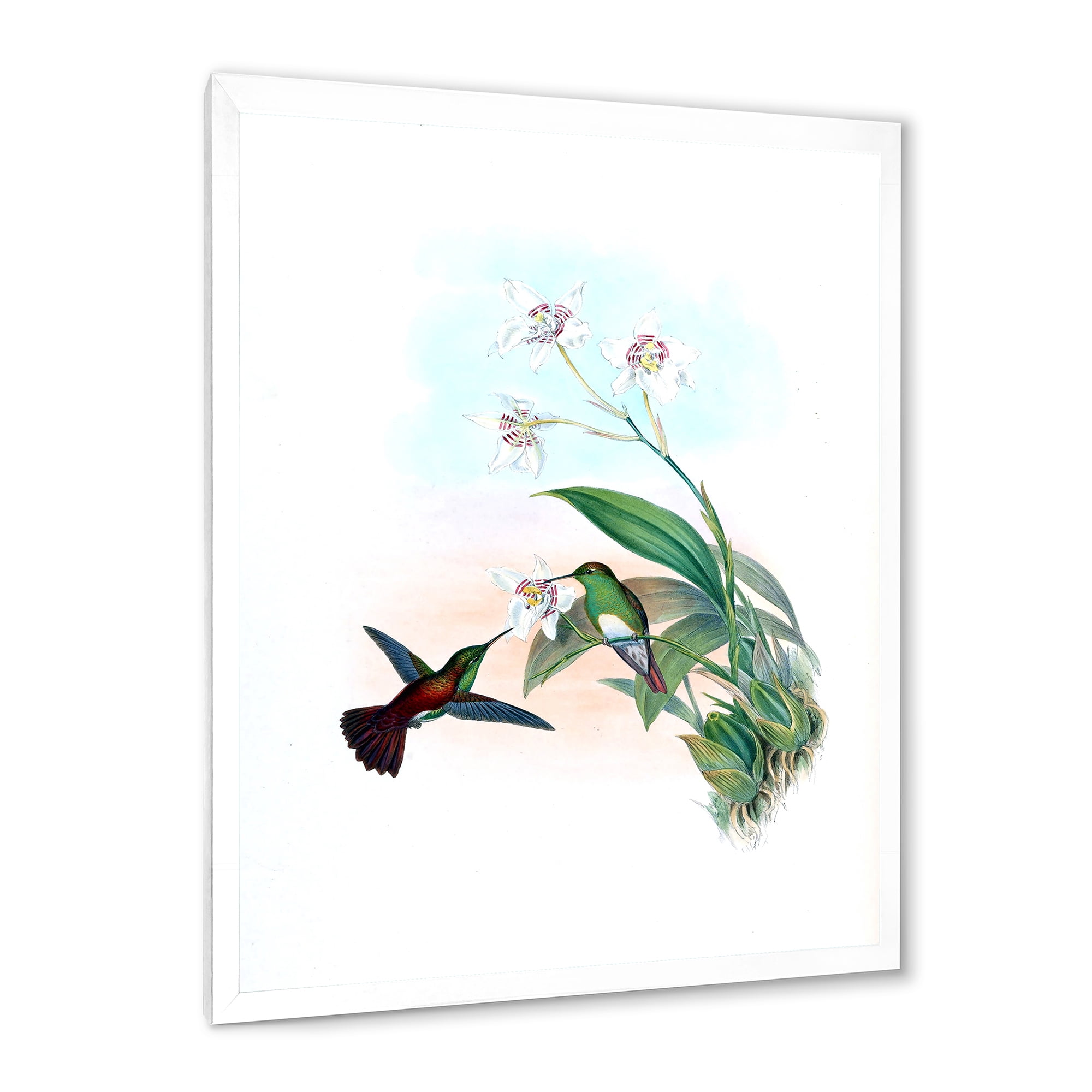 Designart 'Historic Hummingbird Flying To A Flower' Traditional Framed Art Print