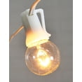 thumbnail image 2 of Globe String Lights 1.25 in. Bulbs 10 ft. White Wire Outdoor Clear, 2 of 2