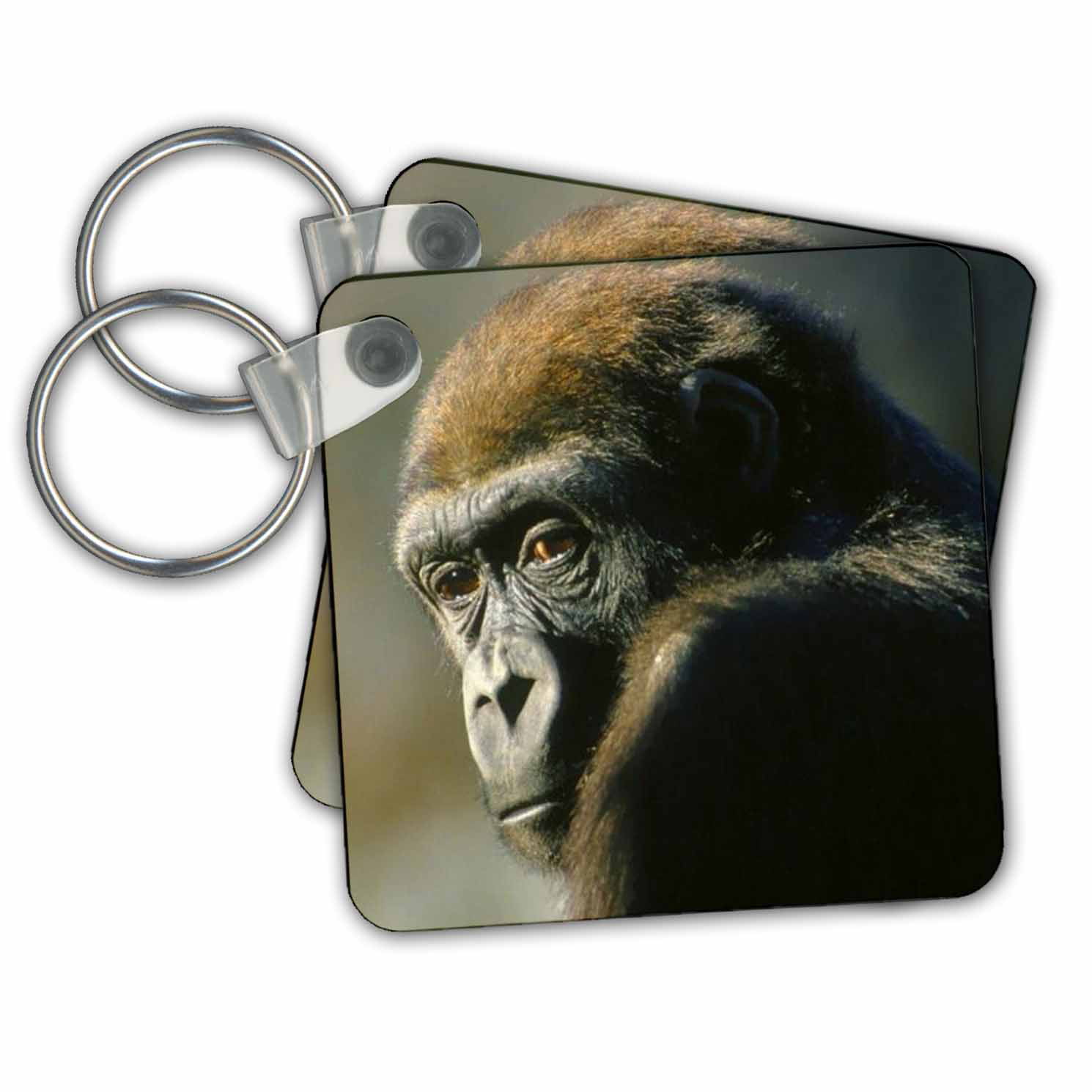 3dRose Gorilla Portrait - Key Chains, 2.25 by 2.25-inch, set of 2 ...