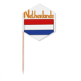 thumbnail image 1 of Netherlands National Flag Pattern Toothpick Flags Cupcake Picks Party Celebration, 1 of 3