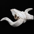 thumbnail image 2 of Yin Yang Attrape-Rêves Filet Circulaire avec Plumes Perles & Tête de Mouton en Résine Skull Tête Murale Animal 3D Longhorn, 2 of 8