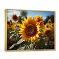 thumbnail image 2 of Designart "Sunflowers landscape Vibrant Yellow III" Floral Floater Framed Wall Decor, 2 of 7