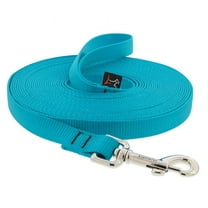 LupinePet Basics 3/4" Aqua 15-Foot Extra-Long Training Leash for Dogs