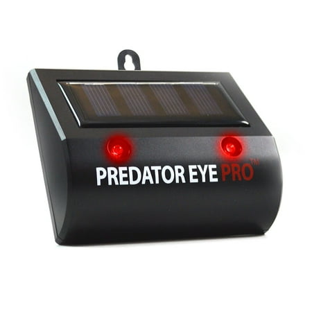 Deterring Birds From Patio Aspectek l 4600sq ft l Predator Eye PRO l Kick Stand Solar Powered | Predator Light Deterrent Light | Night Time Animal Control for Wild Animals Rodents, Cats, Dogs, Birds, Raccoon, Wolves, Foxes ()