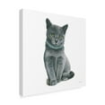 thumbnail image 2 of Trademark Fine Art 'Cutie Kitties VI' Canvas Art by Emily Adams, 2 of 4