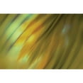 thumbnail image 3 of PI Studio 24x17 Black Modern Framed Museum Art Print Titled - Tie Dye III, 3 of 5