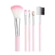 thumbnail image 1 of Rubor para mejillas, rubor en polvo rosa, juego de 5 brochas de maquillaje, brocha negra para sombra de ojos, brocha para labios, brocha para rubor, brocha para pestañas, brocha de maquillaje, 1 of 3