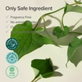thumbnail image 3 of Mary & May Houttuynia Cordata + Tea Tree Serum, 1.01 fl oz (30 ml), 3 of 8