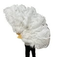 thumbnail image 2 of Large Femina Feather Fan Costume Folding Hand Fan Decorative FoldingFan Feather Fan Feather Fans for Burlesque, 2 of 7