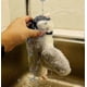 thumbnail image 4 of Electronic Interactive Flying Bird Cat Toy Hanging Pet Flapping Wings Sparrow, 4 of 5