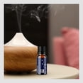 thumbnail image 2 of Maple Holistics Dream Essential Oil for Diffusers Aromatherapy and Wellness , (10mL), 2 of 7