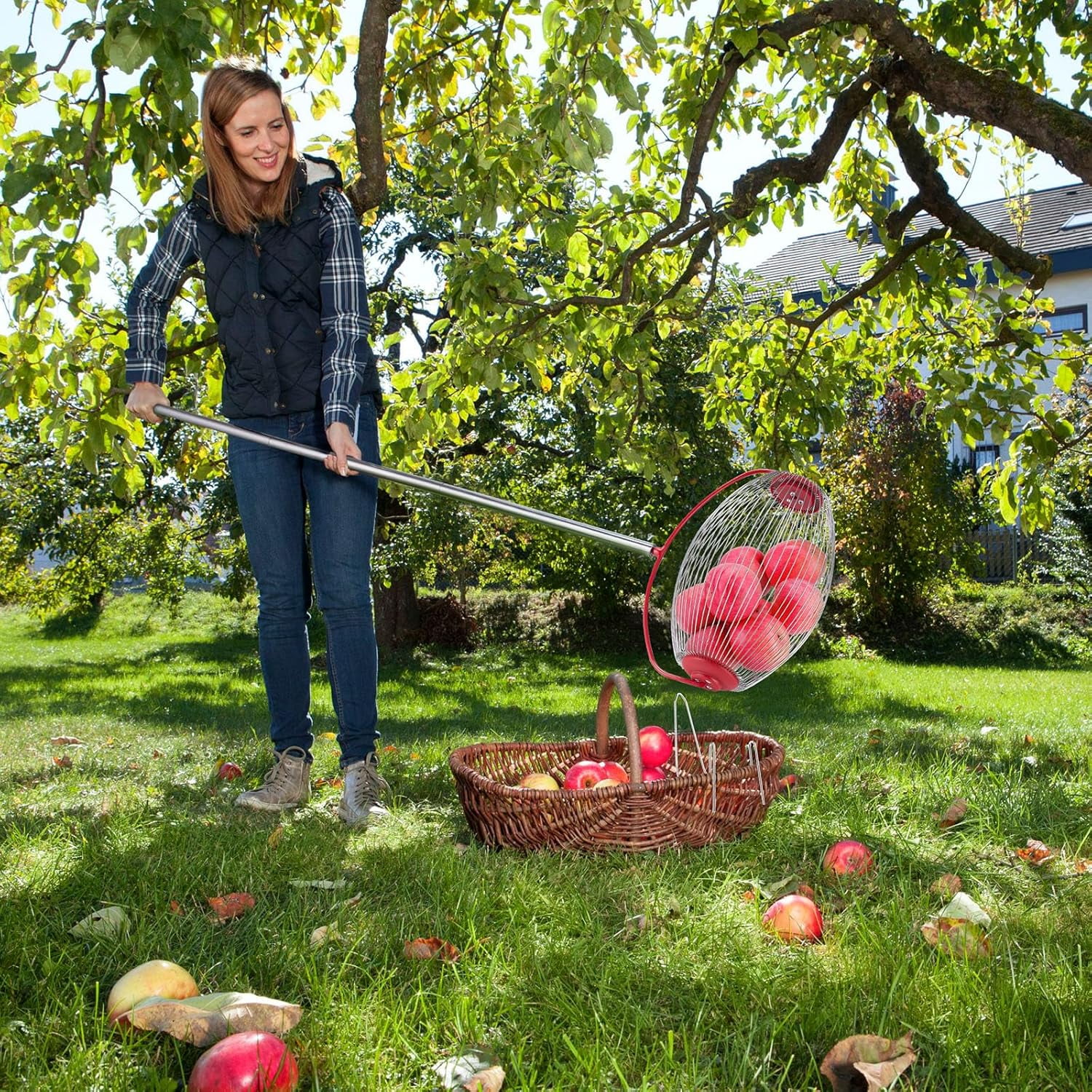 14.6” Nut Gatherer Roller Tool with Telescopic Handle – Manual Collector for Walnuts, Pecans, Golf Balls & More – Adjustable Yard Harvesting Tool