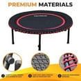 thumbnail image 5 of The Leaps & ReBounds Fitness Trampoline - Bungee Rebounder, 5 of 9