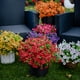 thumbnail image 3 of 12 Manojos de Flores Artificiales de Otoño, Decoración de Otoño Al Aire Libre a Prueba de Decoloración para Porche, Jardín, Patio, Sala de Estar, Recámara - Arreglo Floral Decorativo Multiusos, 3 of 8