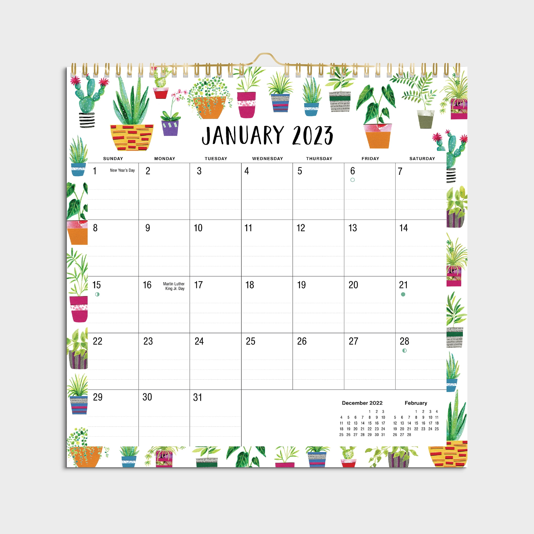Pen+Gear 2023-12 Month Calendar- Succulents Border-12x12 Spiral bound- by Pen + Gear