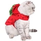 thumbnail image 4 of Disfraz de gato fresa ANIAC para gatos y perros pequeños, 4 of 5