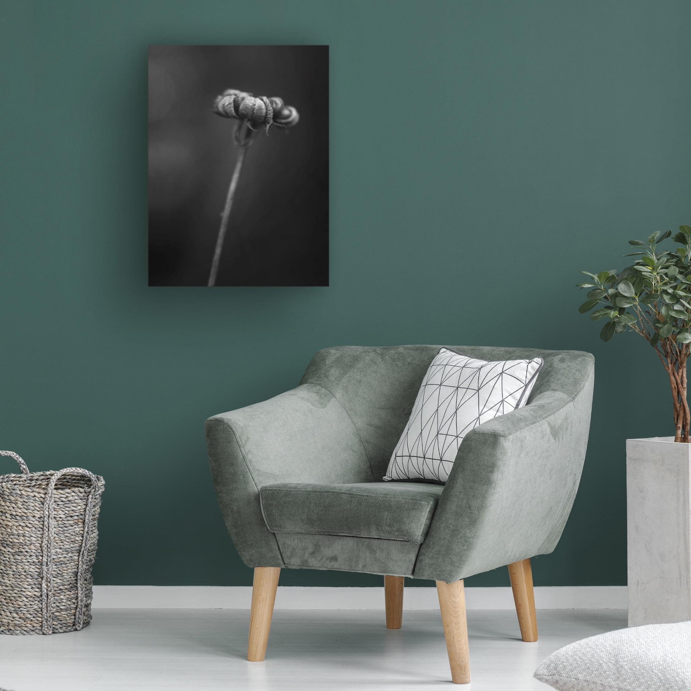 Trademark Fine Art Lotte Gronkjar  Calendula Canvas Wall Art