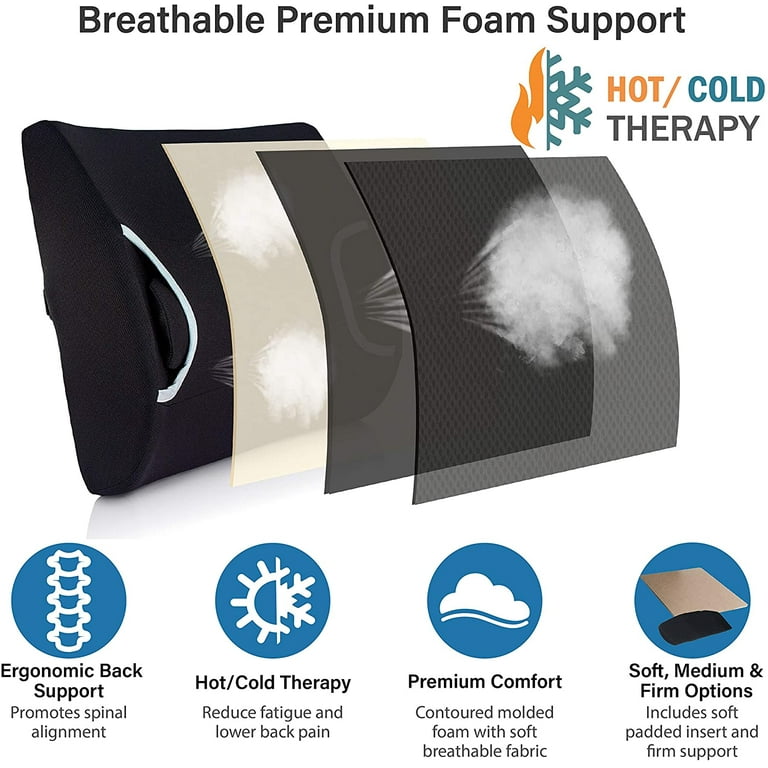 Livtribe Lumbar Support Pillow,Breathable 3D Mesh Memory Foam Back