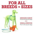 Harness Lead No Pull OnePiece Dog Harness and Leash for All Breeds and